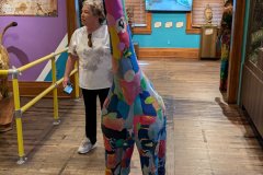 PXL_20241118_162429788.MP_