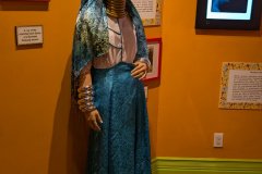 PXL_20241118_162946754.MP_