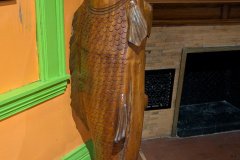 PXL_20241118_163007238.MP_